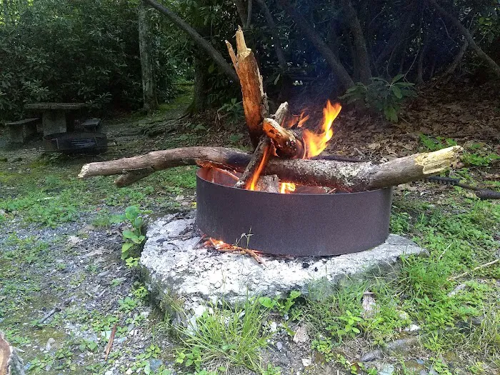 Julian Price Campground Picture 6