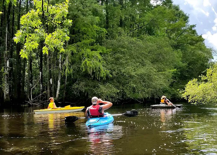 Lumber River Campground Picture 6