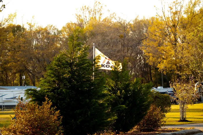 Lumberton / I-95 KOA Journey Picture 6