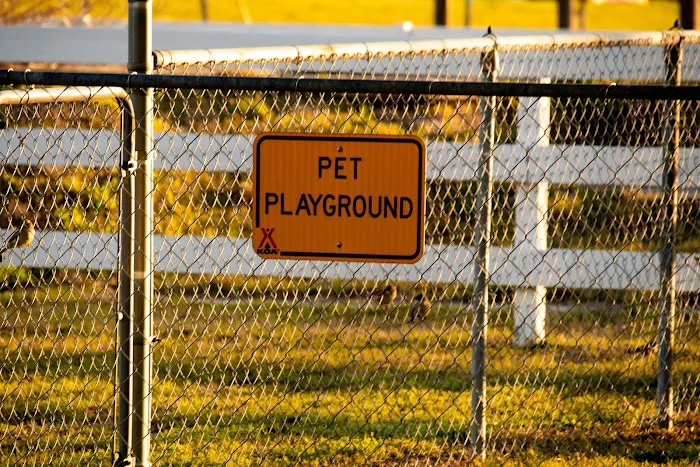 Lumberton / I-95 KOA Journey Picture 7