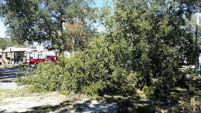 Green Oaks Campground Picture 7