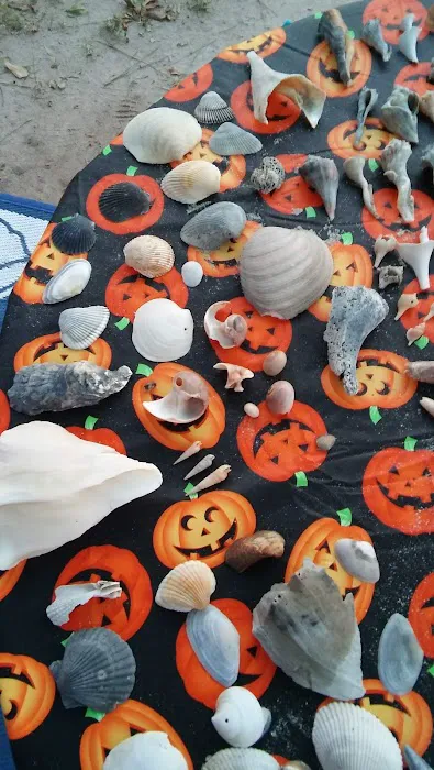 Ocean Aire Travel Park Picture 8