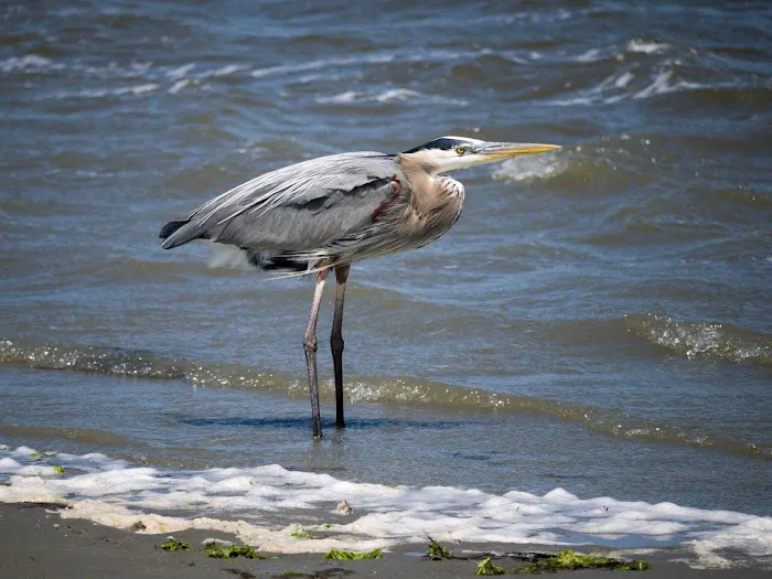 Waterway Campground Picture 6