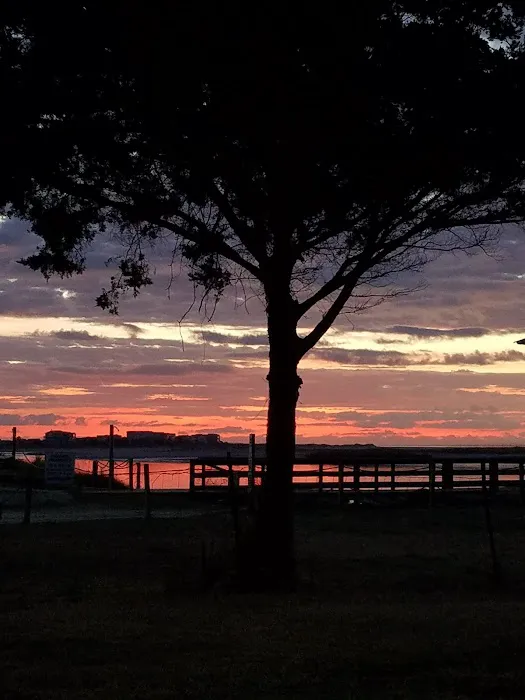 Waterway Campground Picture 1