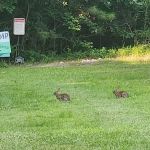 Green Acres Campground