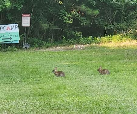 Green Acres Campground