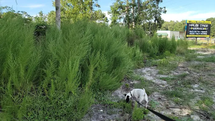 Wishing Well RV Campground Picture 2