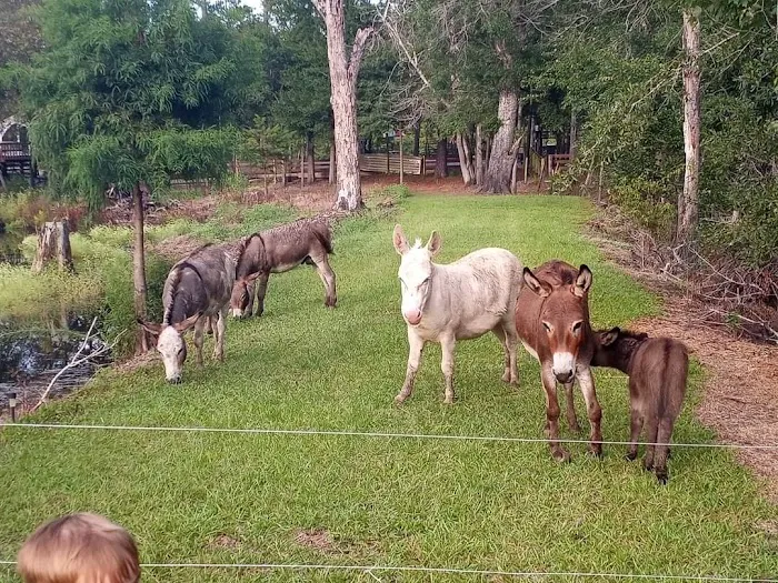 Hobbs Family Campground Picture 5