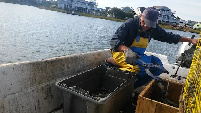 Captain Andy's Campground Picture 7