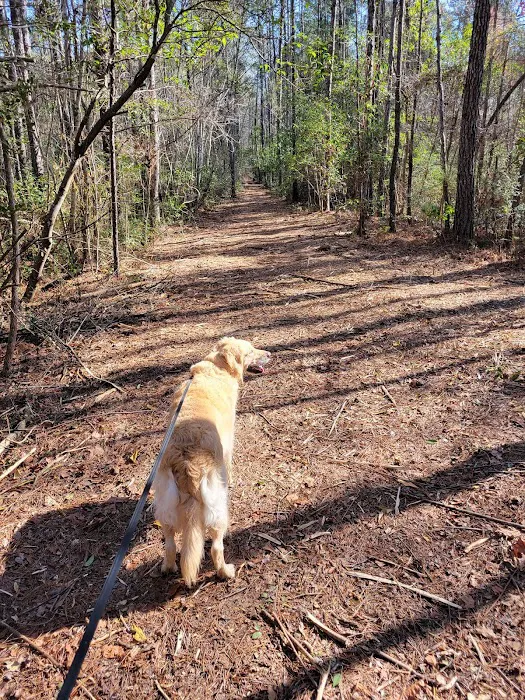 WillowTree RV Resort & Campground Picture 7