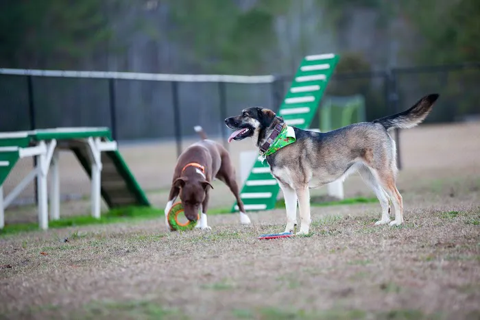 WillowTree RV Resort & Campground Picture 6