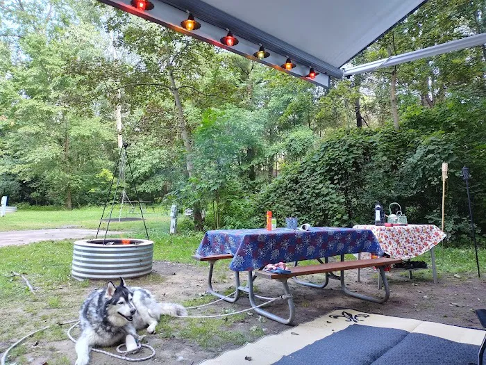 Hayes State Park Campground-East Loop Picture 5