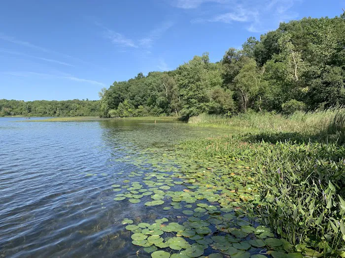 Hayes State Park Campground-East Loop Picture 9