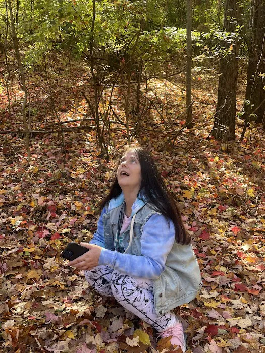 Hayes State Park Campground-East Loop Picture 7