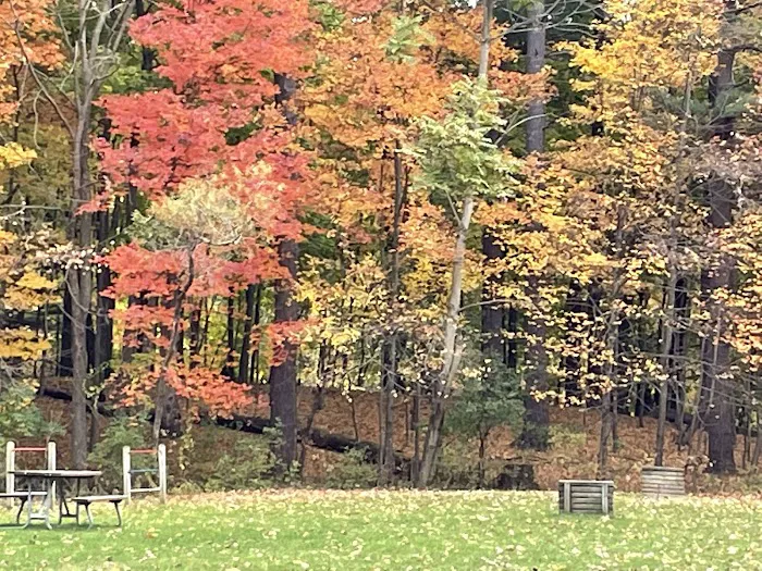 Hayes State Park Campground-East Loop Picture 4