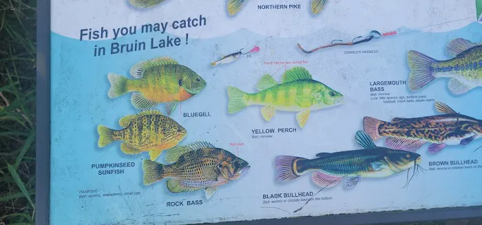 Hayes State Park Campground-West Loop Picture 4