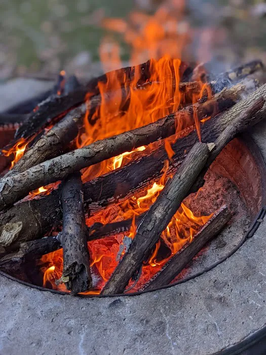 Hayes State Park Campground-West Loop Picture 3