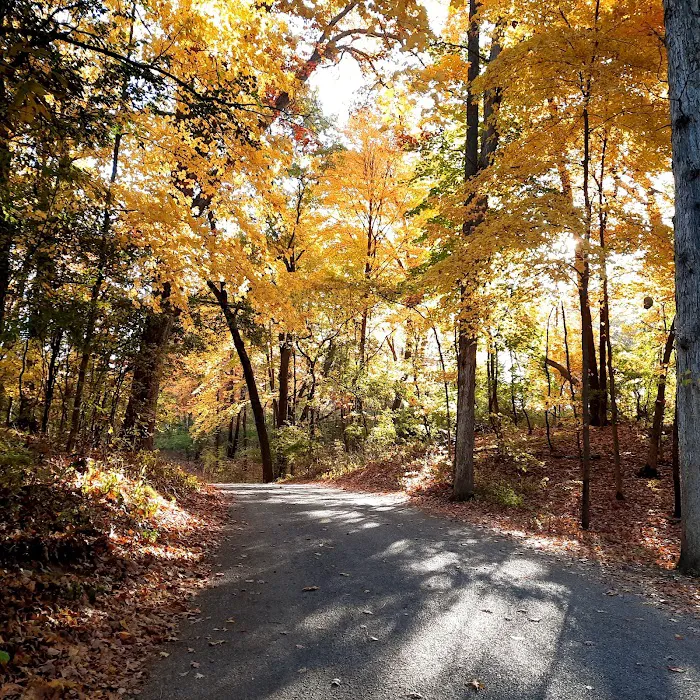 Hayes State Park Campground-West Loop Picture 9