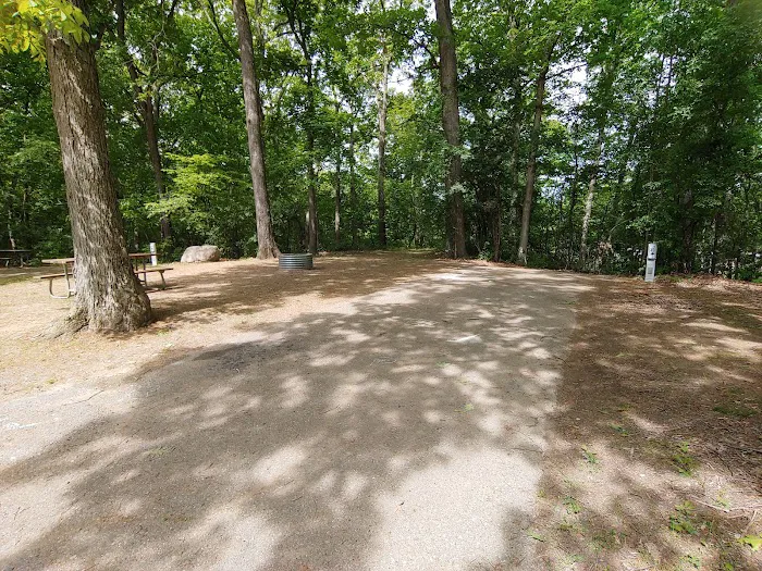 Hayes State Park Campground-West Loop Picture 8