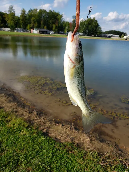 Kimpels Hickory Acres Picture 7