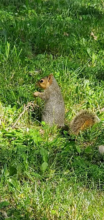 Indian Lake Resort Picture 10