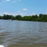 Lotus Cove Campground