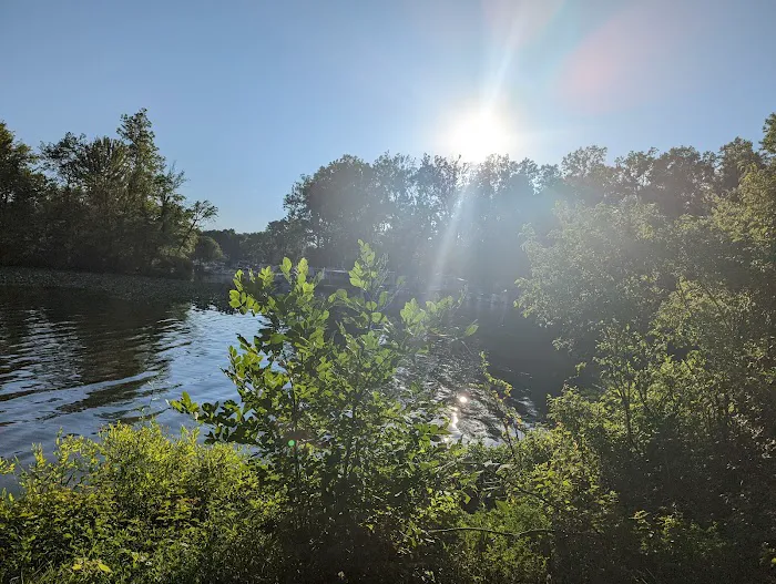 Lotus Cove Campground Picture 8