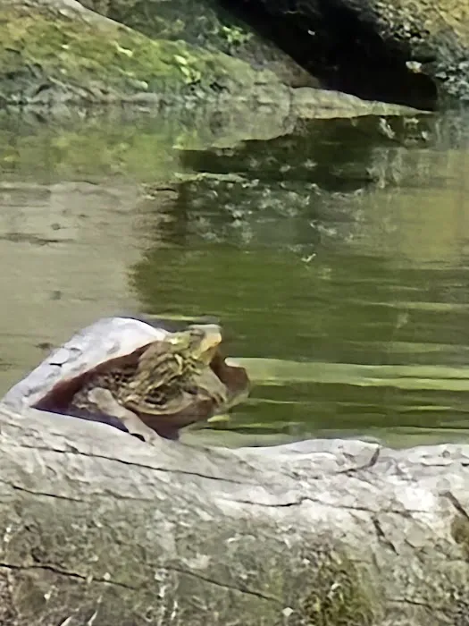 Lake Loramie State Park Campground Picture 3
