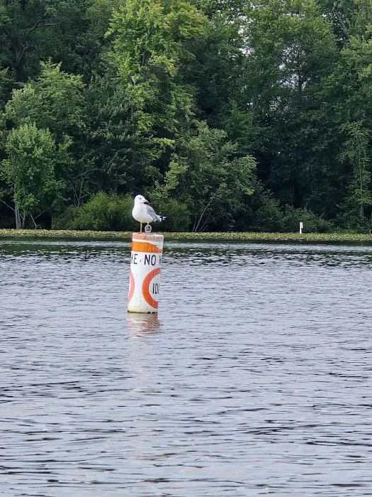 Lake Loramie State Park Campground Picture 8