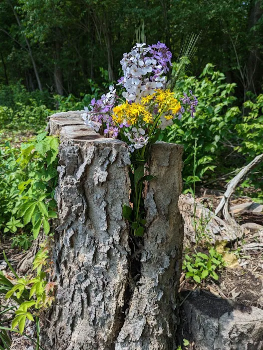 Caesar Creek Horseman’s Group Camp Picture 5