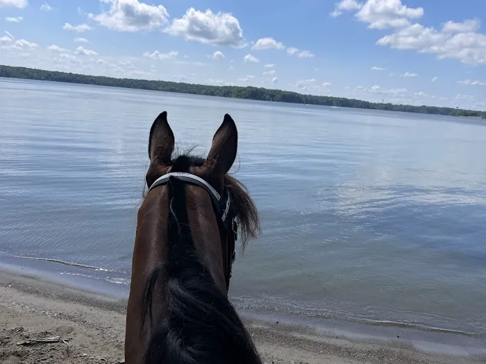 Caesar Creek Horseman’s Group Camp Picture 4