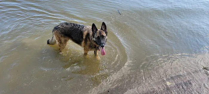 Caesar Creek Horseman’s Group Camp Picture 2
