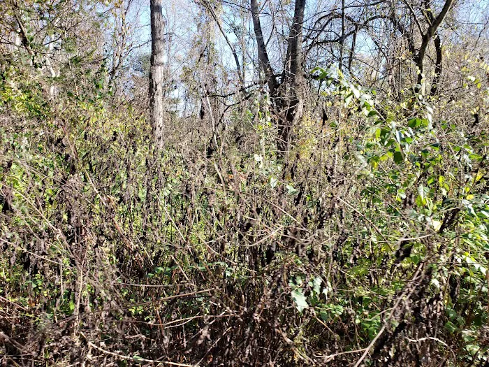 Caesar Creek Horseman’s Group Camp Picture 10
