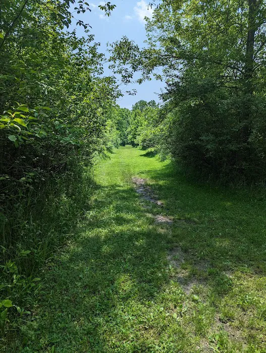 Caesar Creek State Park Horseman's Campground Picture 9