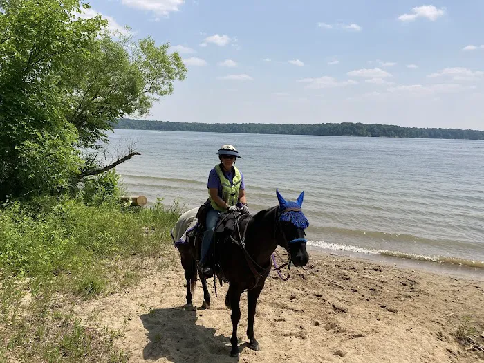 Caesar Creek State Park Horseman's Campground Picture 6