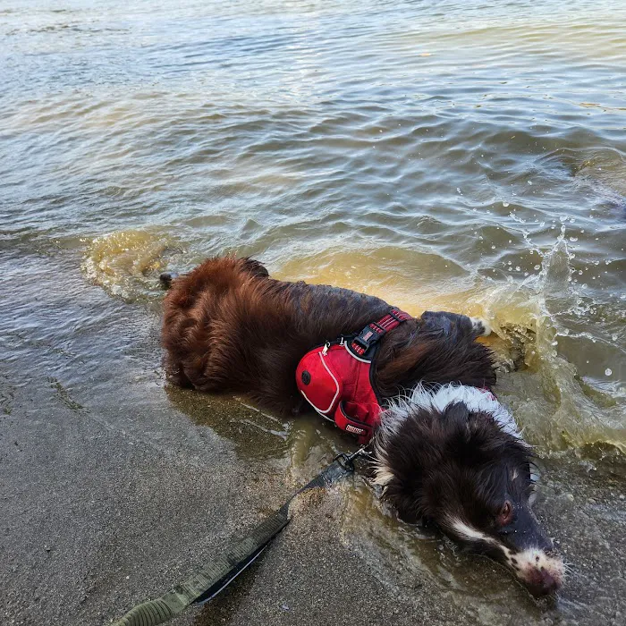Fifty Springs Group Campground Picture 2