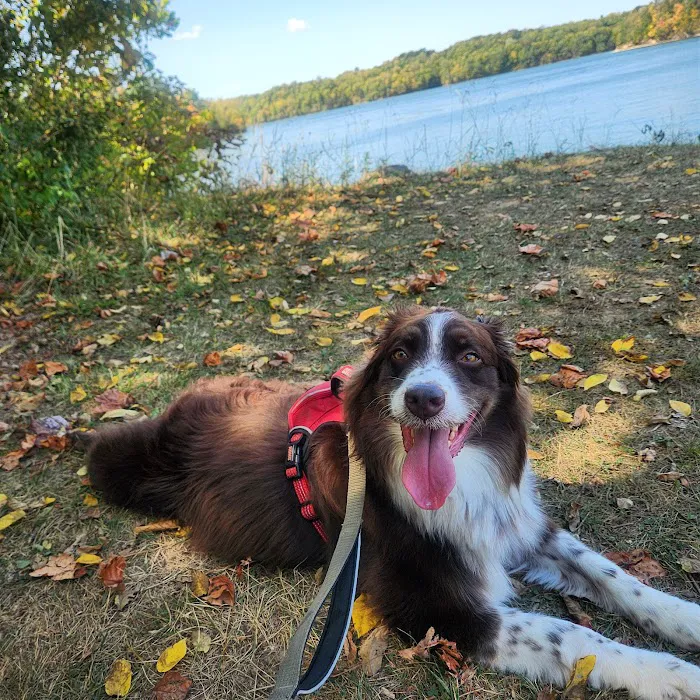 Fifty Springs Group Campground Picture 1