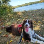 Fifty Springs Group Campground