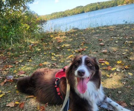 Fifty Springs Group Campground