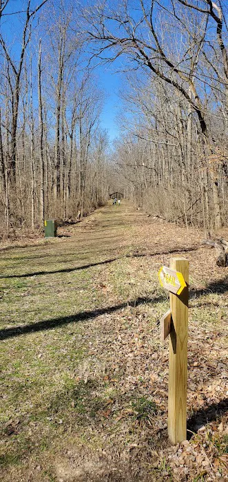 Fifty Springs Group Campground Picture 8