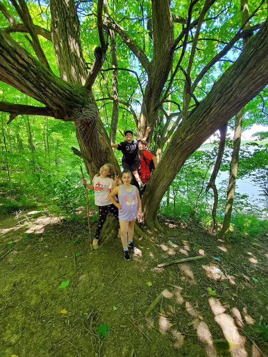 Fifty Springs Group Campground Picture 7