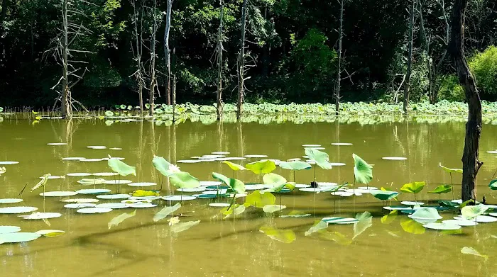 Fifty Springs Group Campground Picture 5