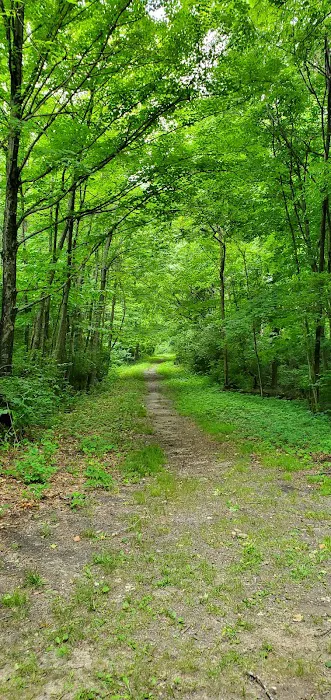 Buckeye Way Group Camp Picture 1