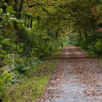 Frontier Campground Picture 4