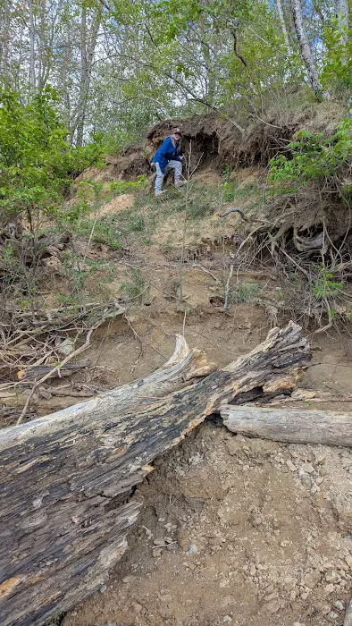 Hickory Overlook Group Camp Site Picture 5