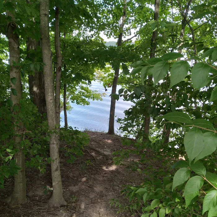 Hickory Overlook Group Camp Site Picture 7