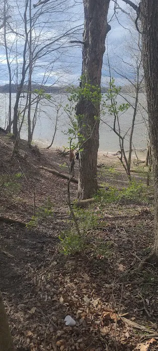 Hickory Overlook Group Camp Site Picture 2