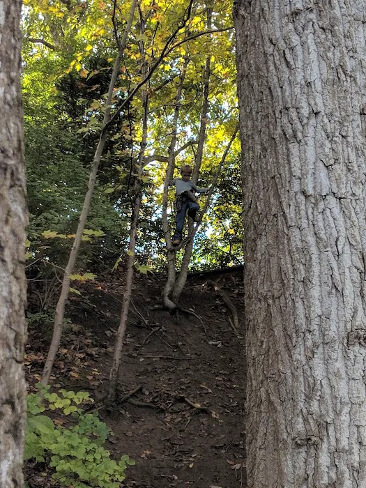 Cedar Point Group Campground Picture 4