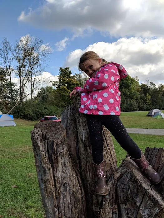 Cedar Point Group Campground Picture 6