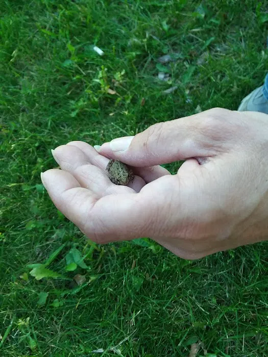 Camp Qtokee Picture 8